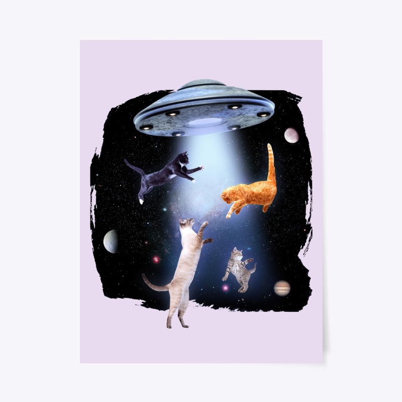 Alien Abduction, Space Cats UFO