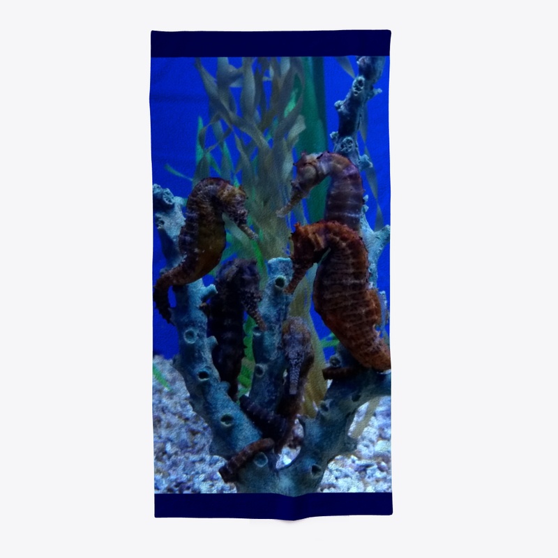 Sea horses