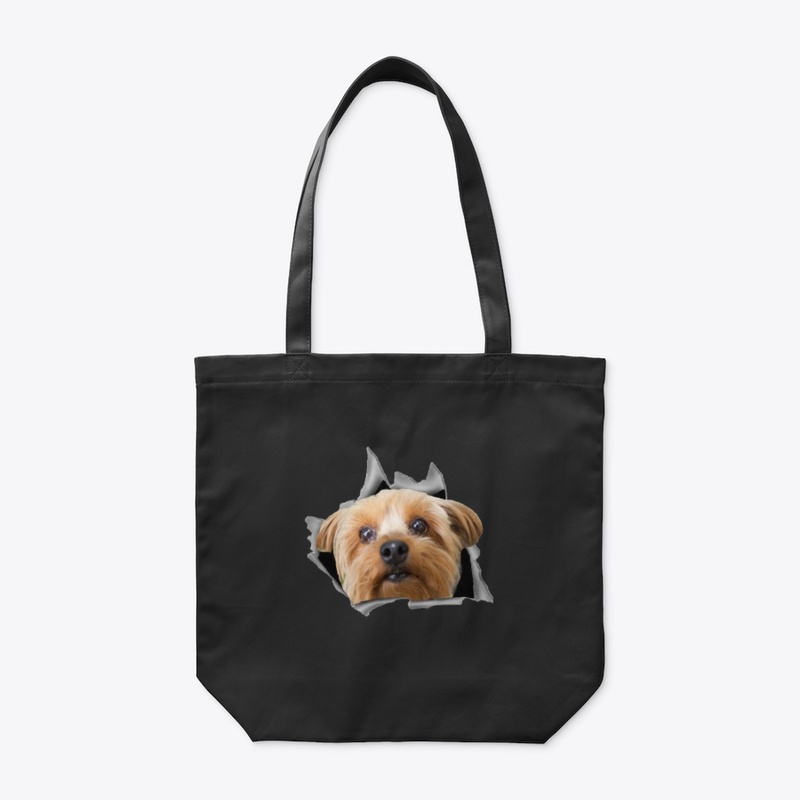 Yorkie nice sticker