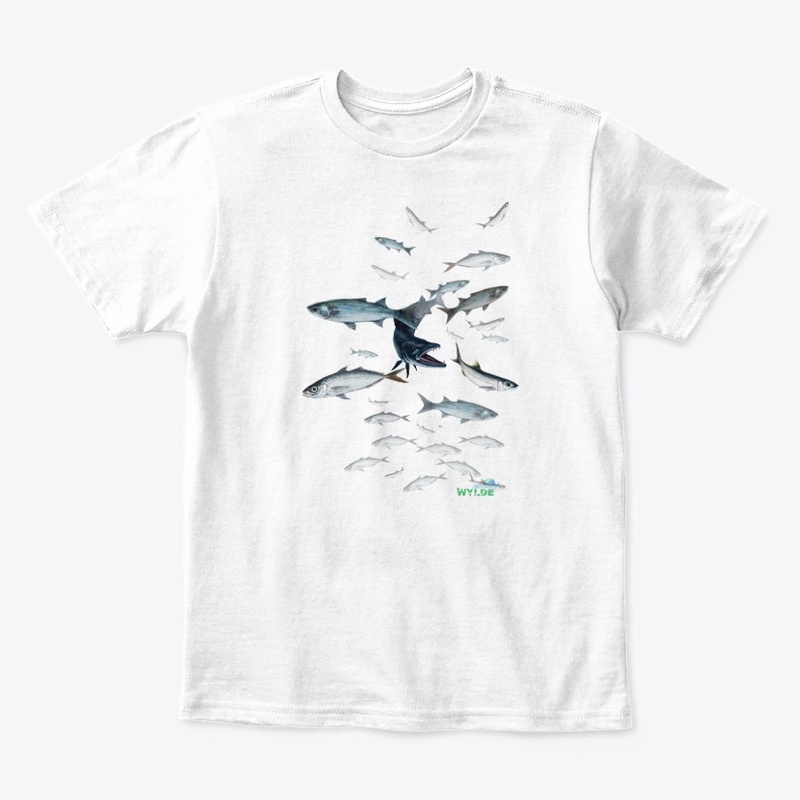 Barracuda Attacking Baitfish