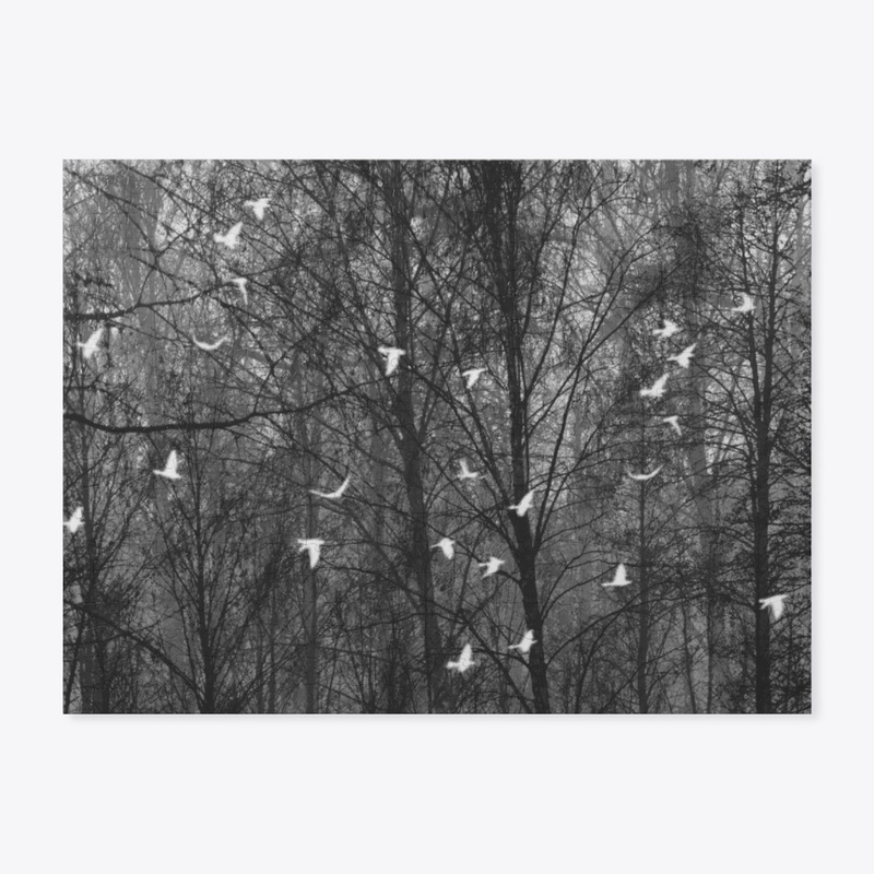 Veil of Trees