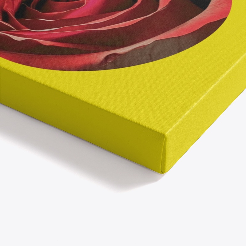 Roses T-shirt