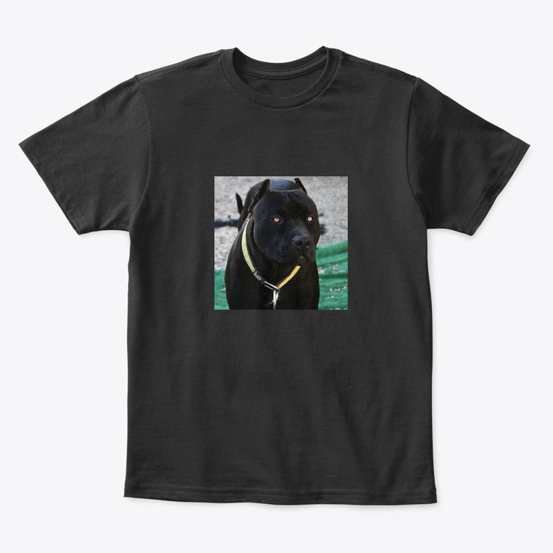 Pitbulls Black