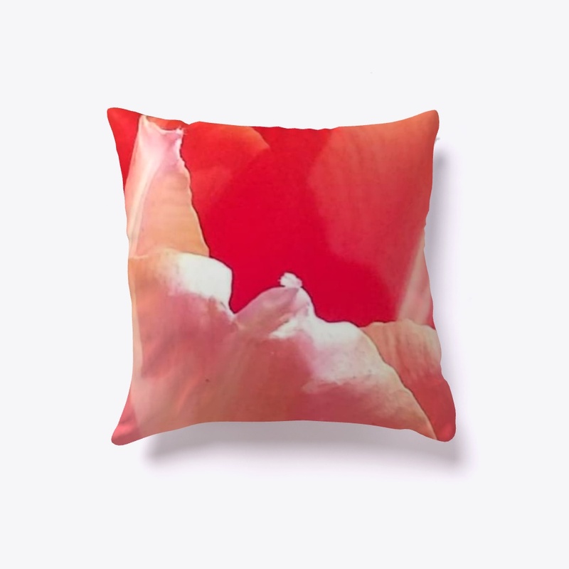 Bloom/ Tulip