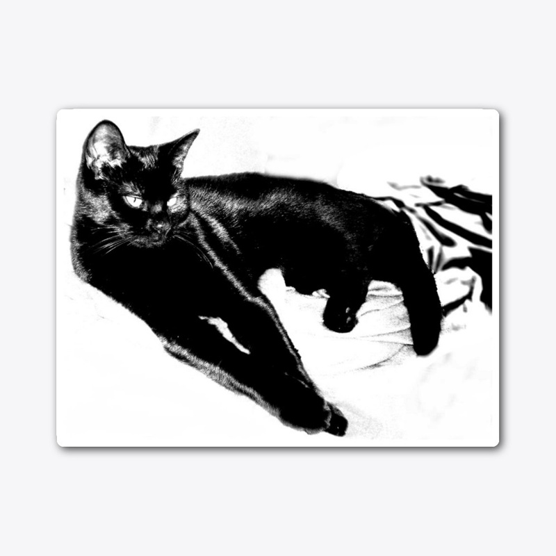 Henry the Cat