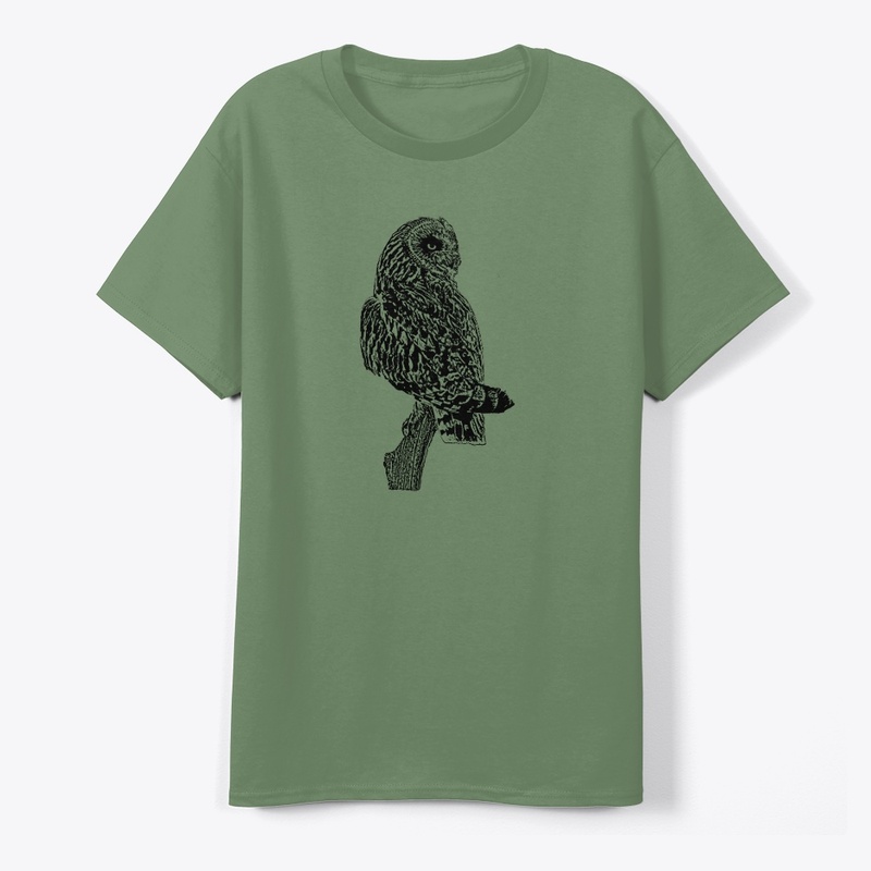 Short-eared Owl Birdwatching