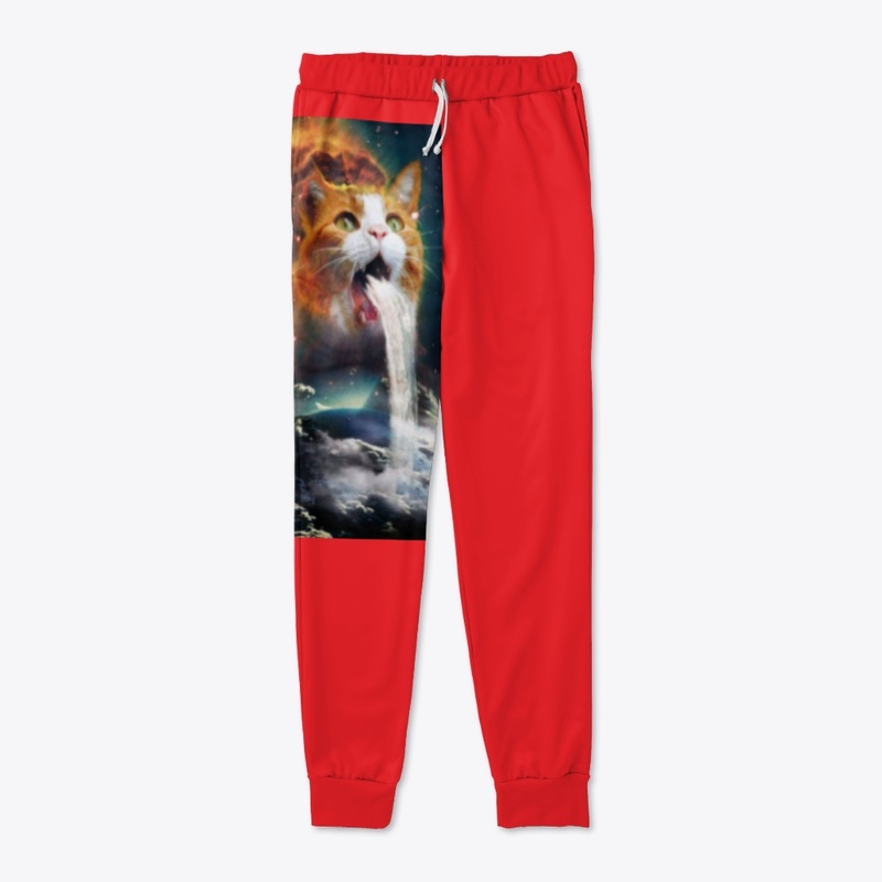 Cool funny cat