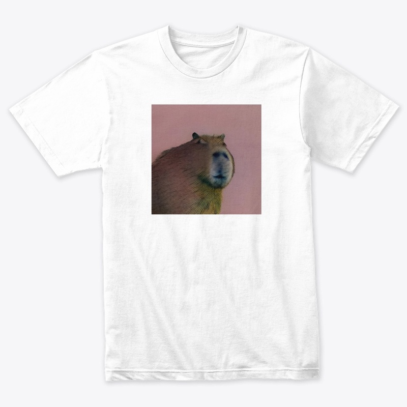 Capybara #17