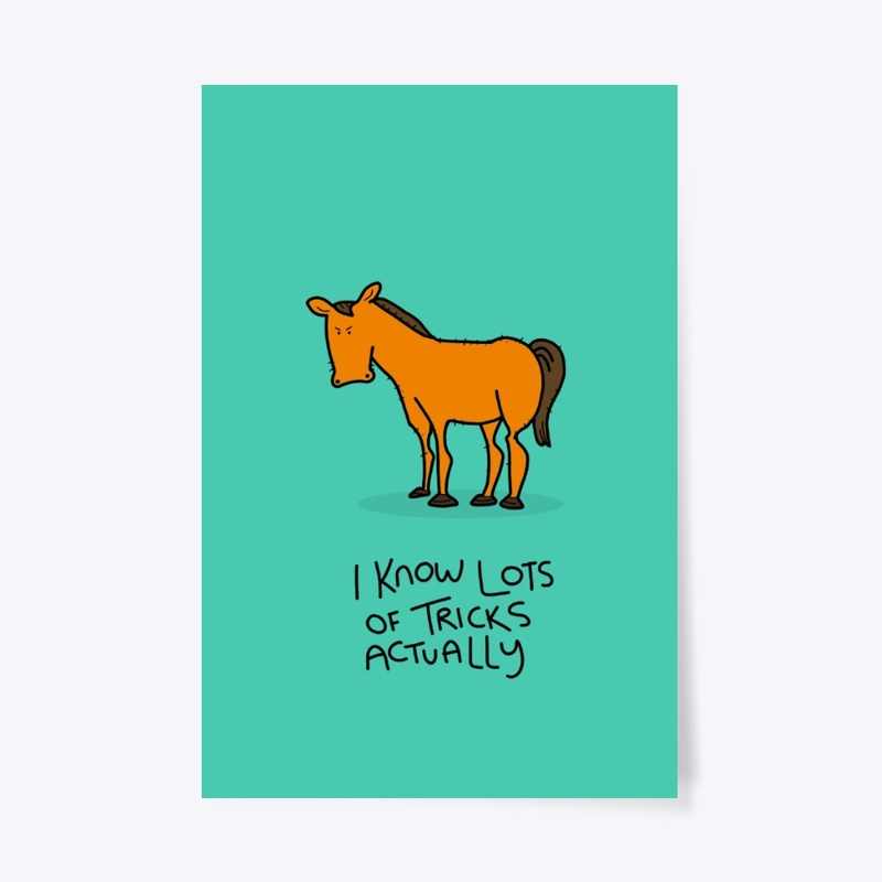 Grumpy Pony