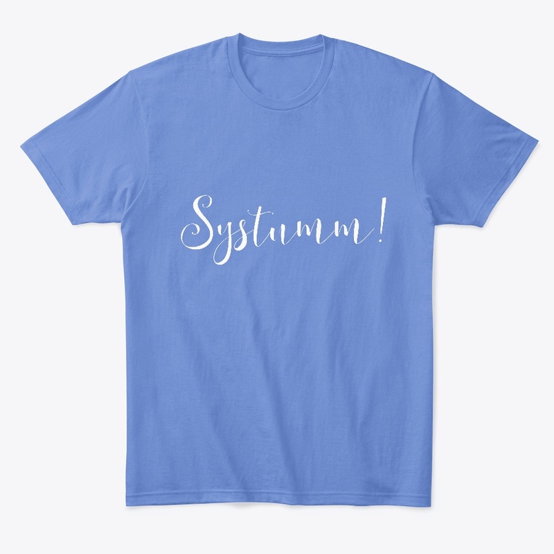 systumm premium pullover and tee