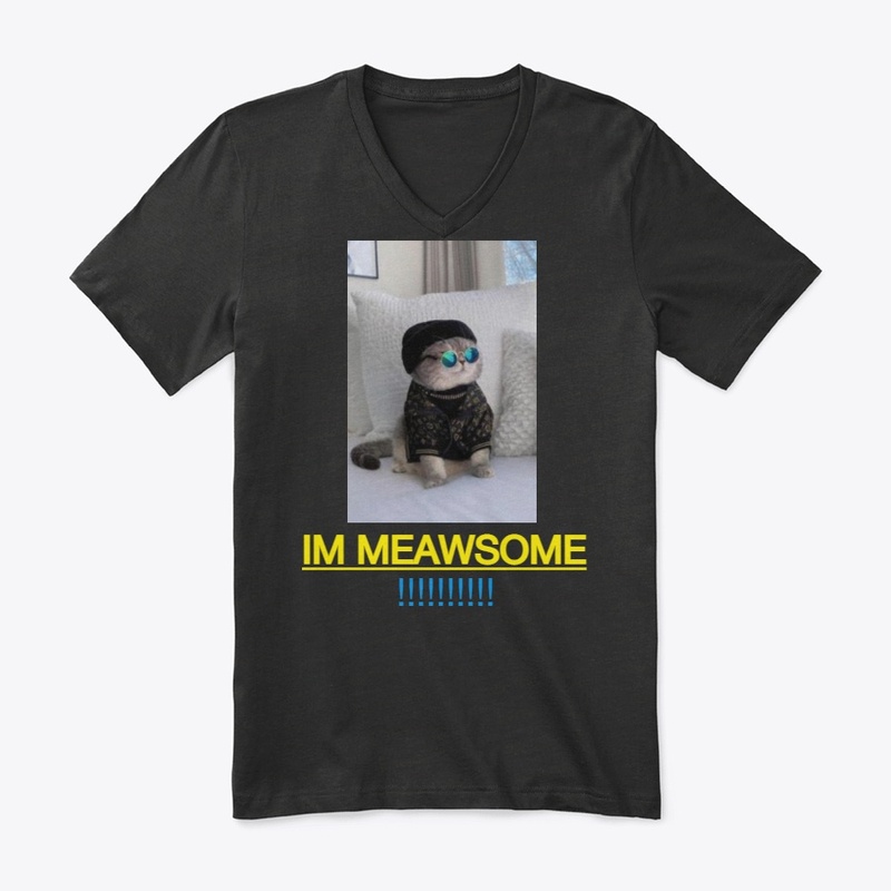 So Meowsome
