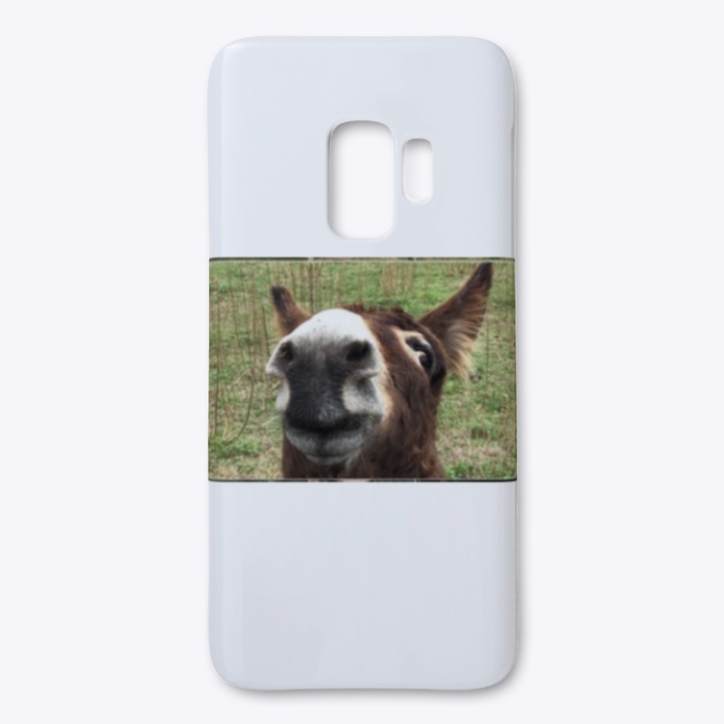 Donkey Fever