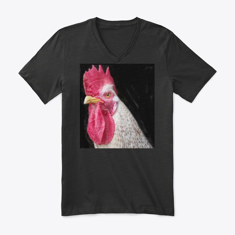 rooster chicken farm animal