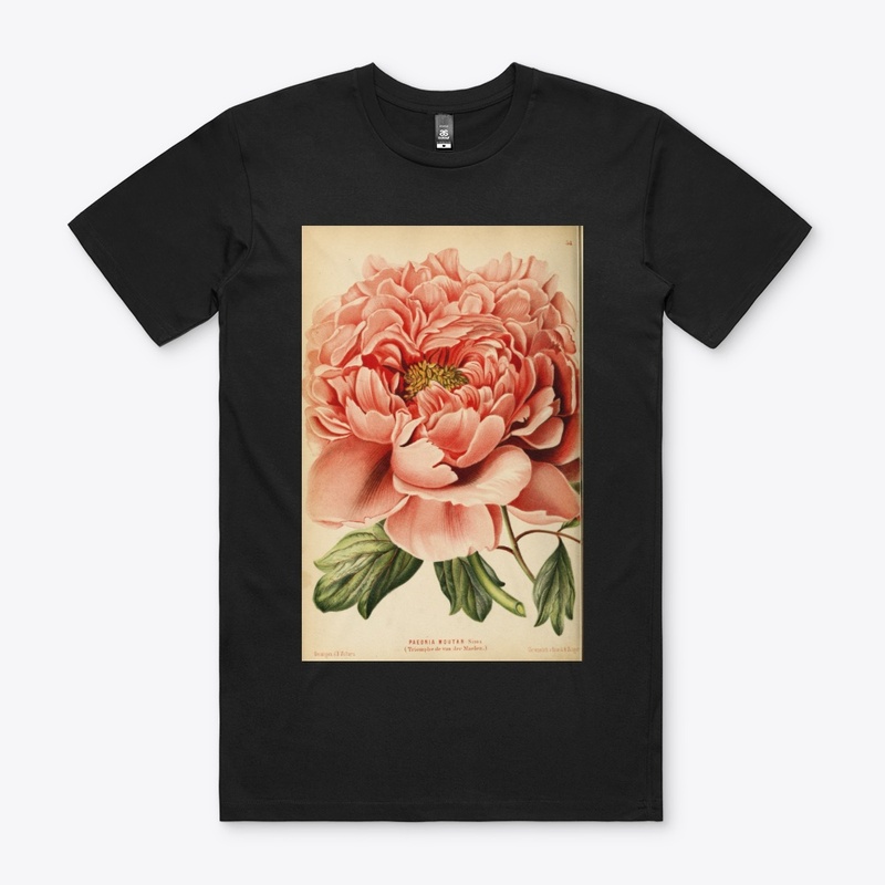 blossom