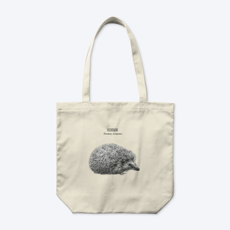 Hedgehog - Erinaceus Europaeus