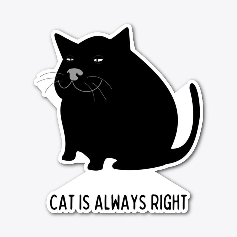 Cat is always right