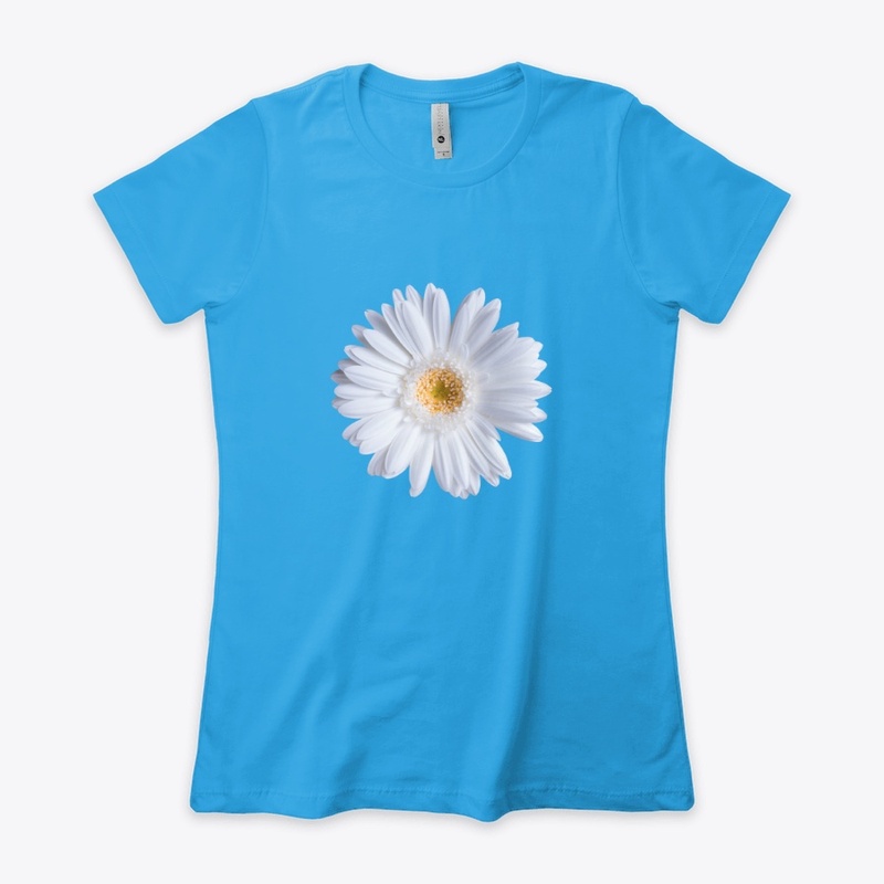 Gerbera Branca