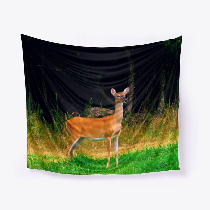 Young Doe In Summer