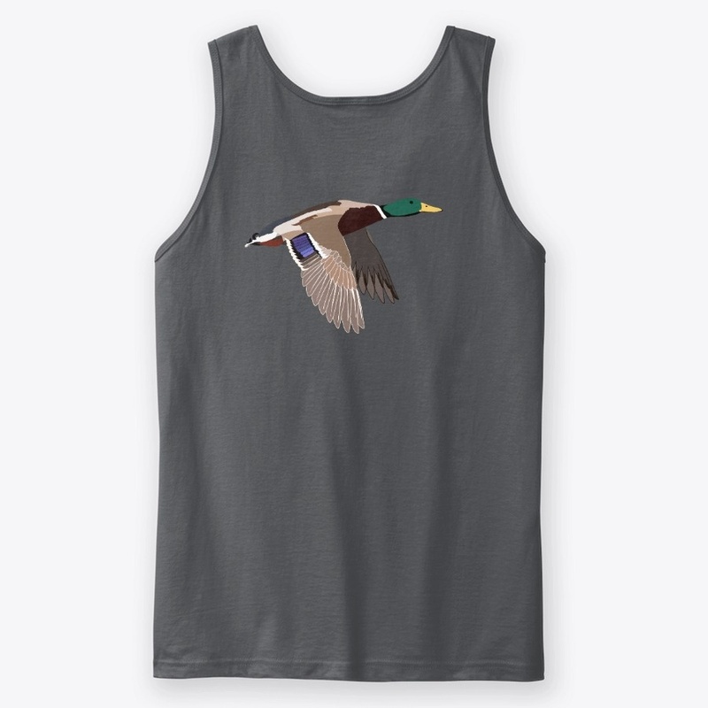 Mallard Duck