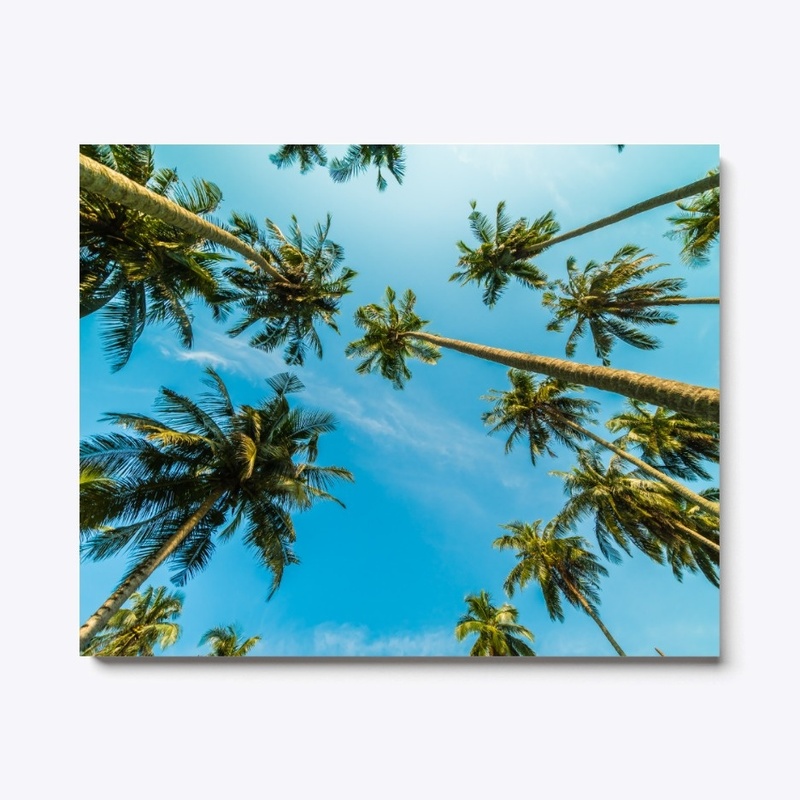 Low angle photography of palm trees