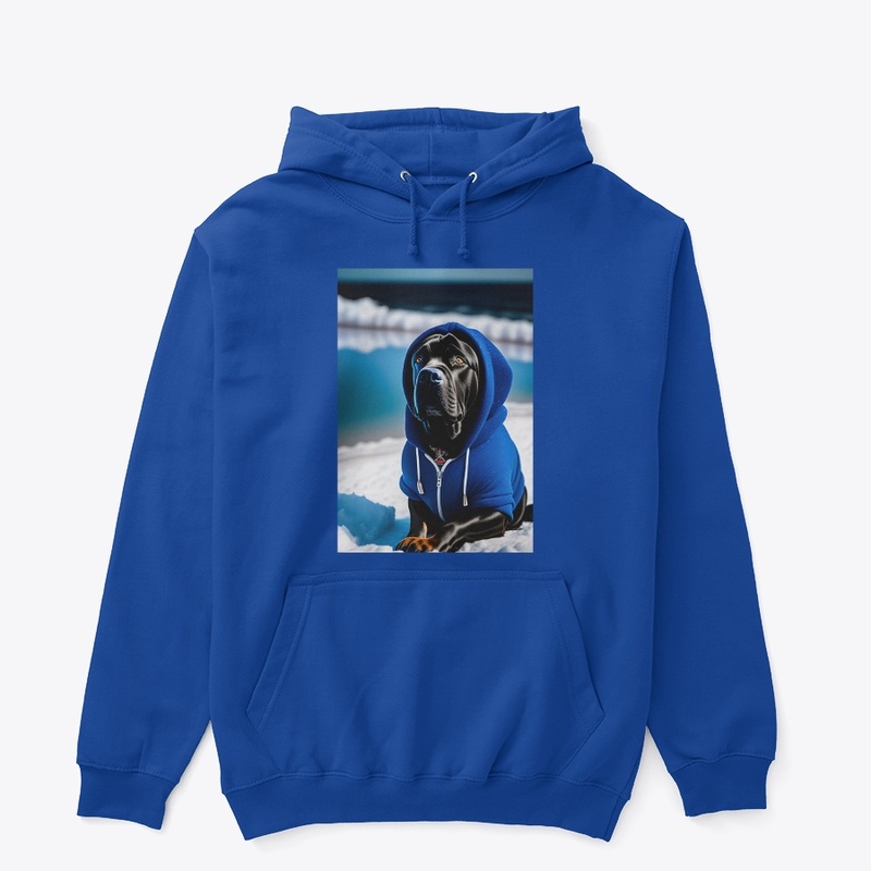Black dog with Hoodie 