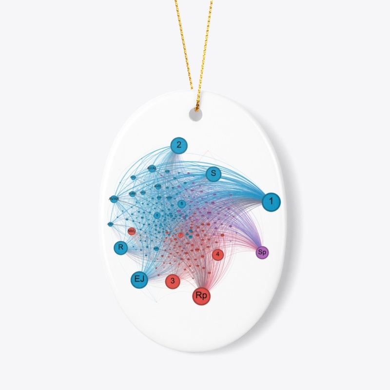 C. Elegans Neural Network