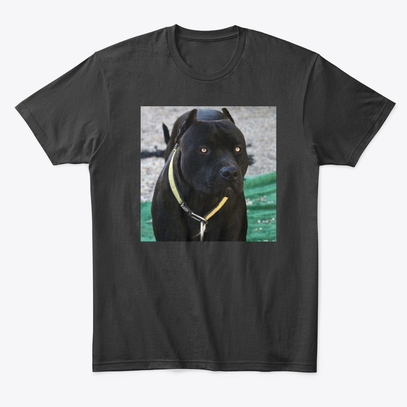 Pitbulls Black