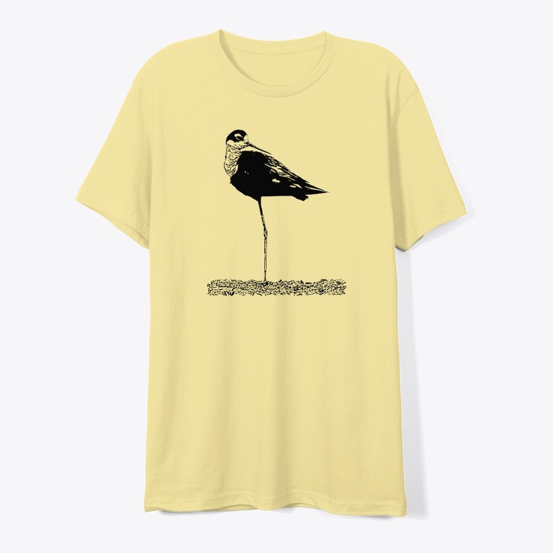 Black-necked Stilt