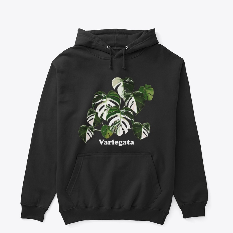 Variegata Monstera