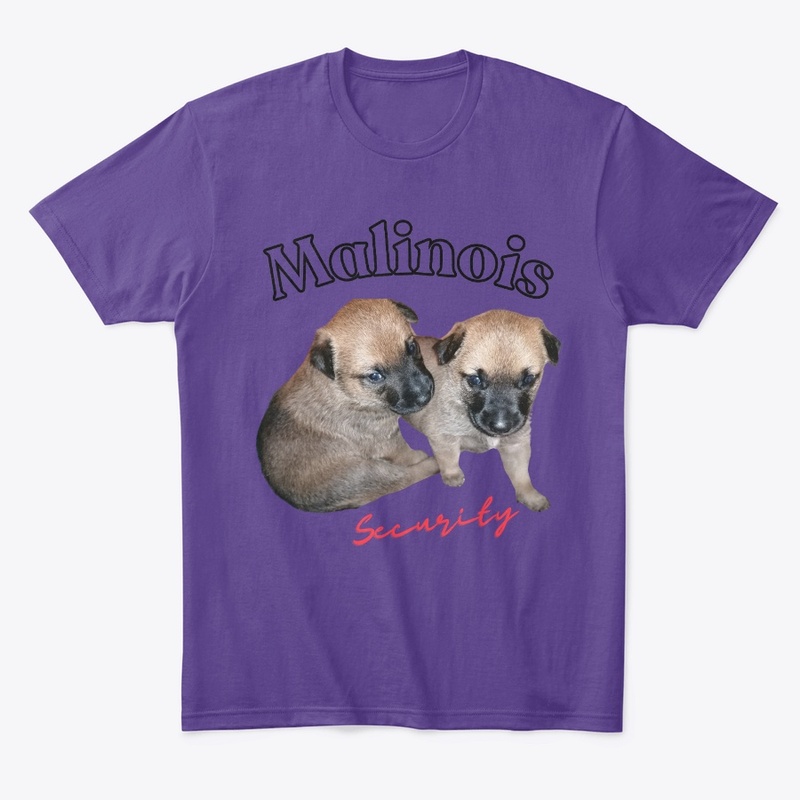 cute Malinois puppies