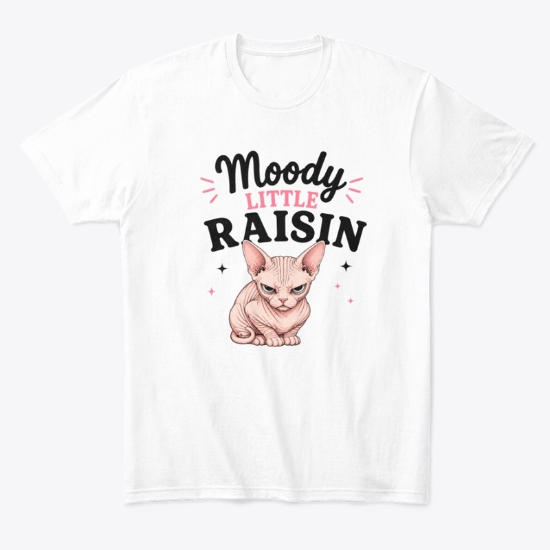 Moody Little Raisin Sphynx Cat