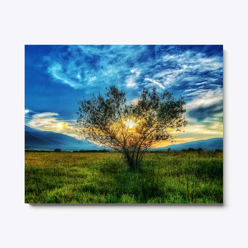 Bansko, Bulgaria -sunset tree