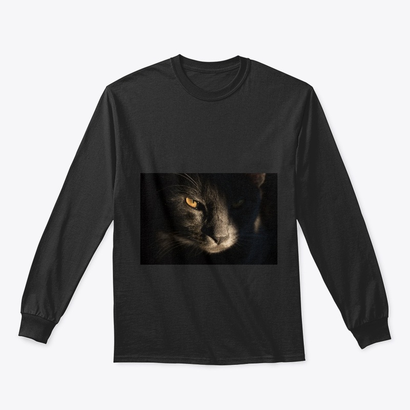 Black Cat