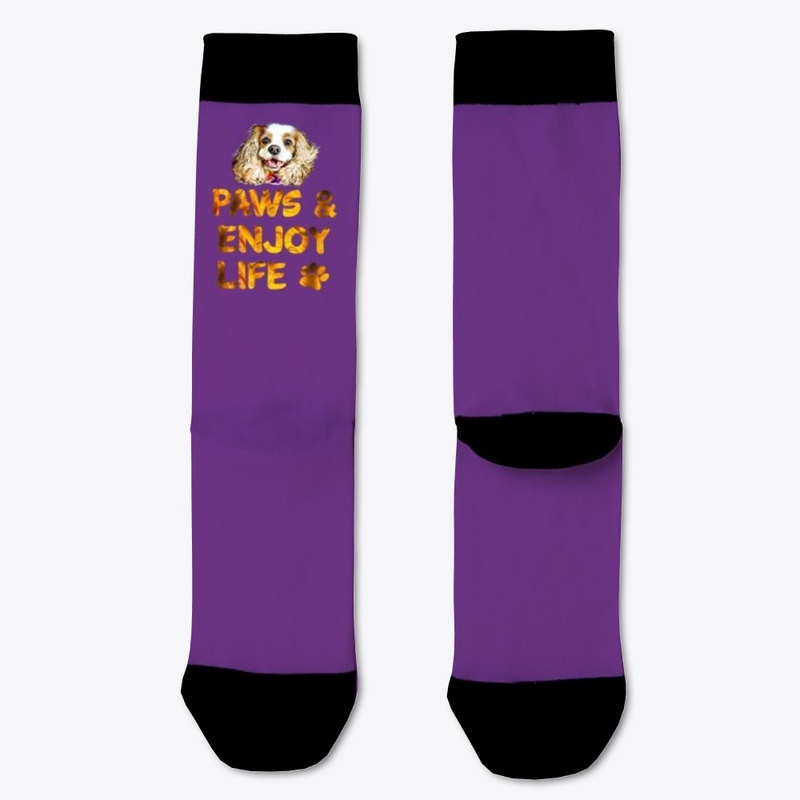 Paws and Enjoy Life CKCS