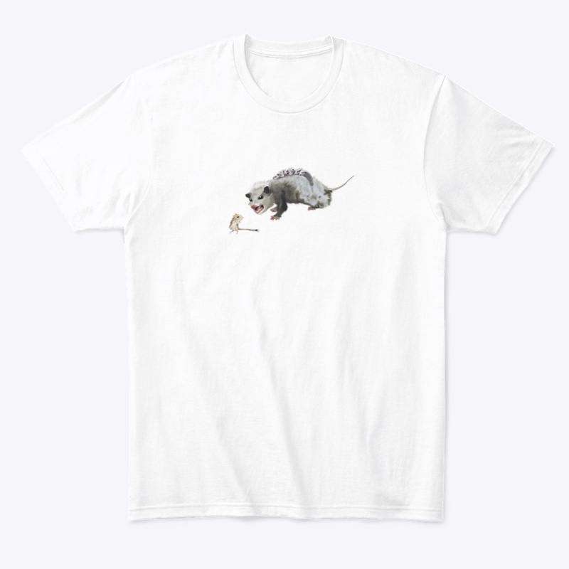 Opossum Mom & Rocket