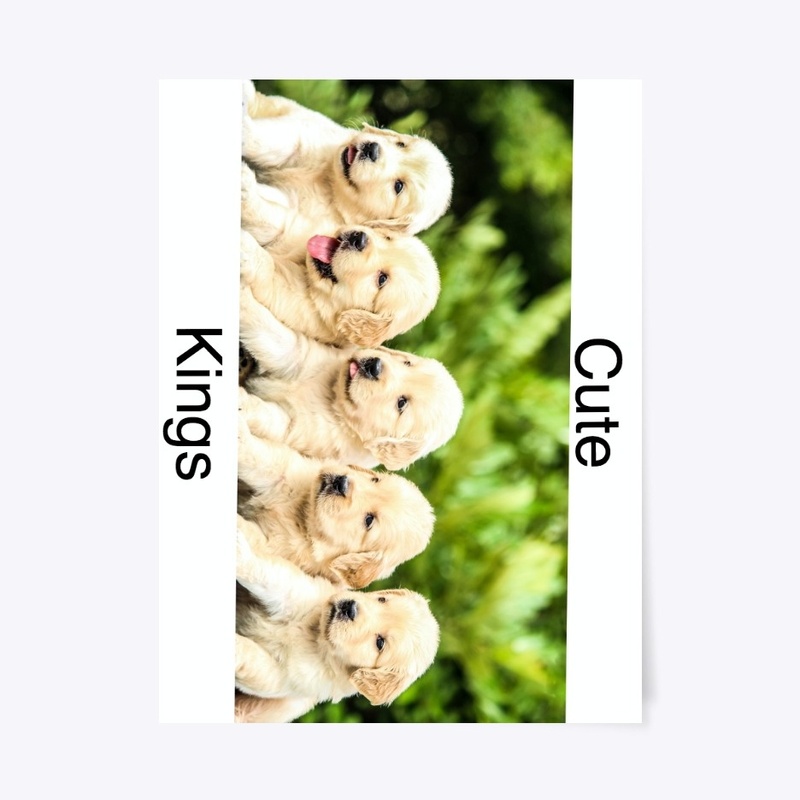 Cute Kings