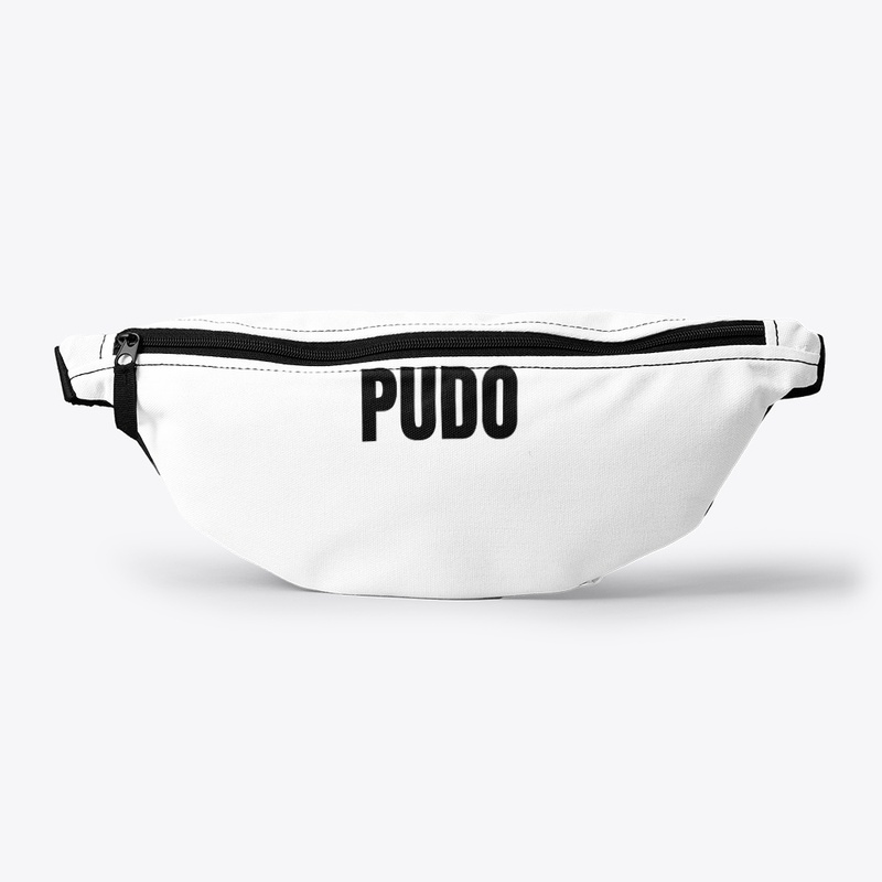 Pudo