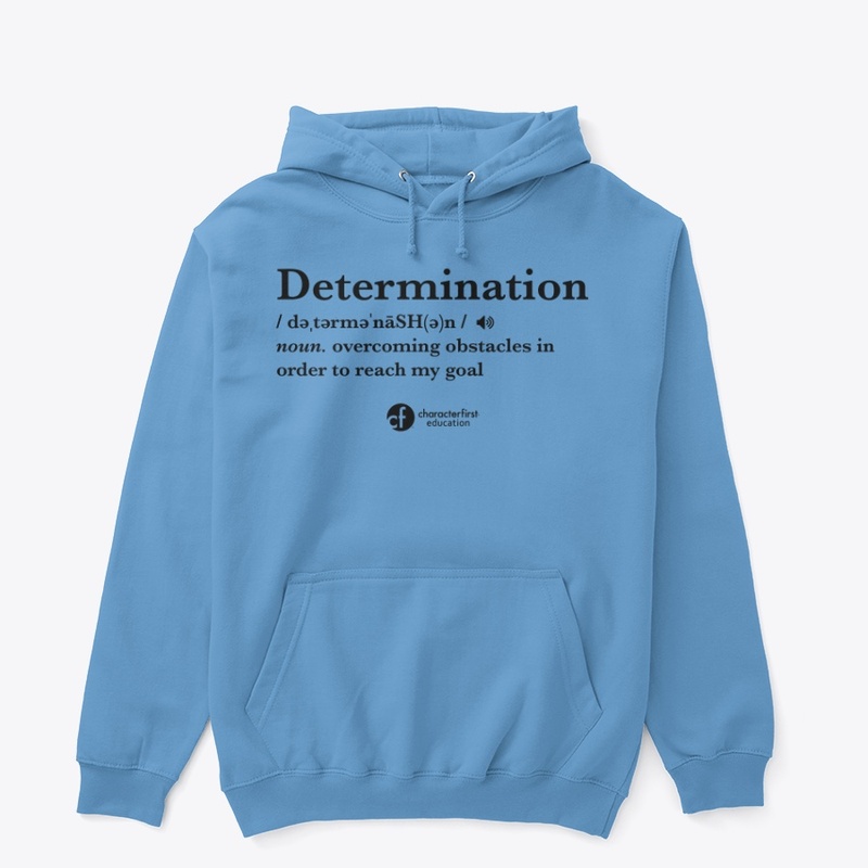 Determination Definition