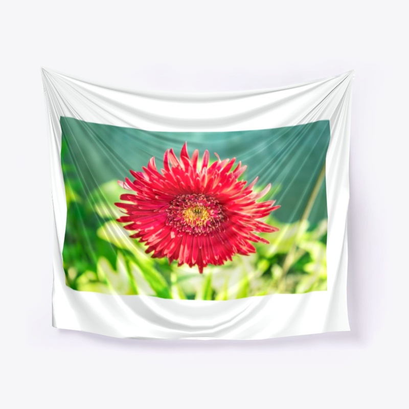 sun flower