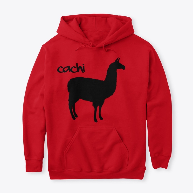 Cachi Salta