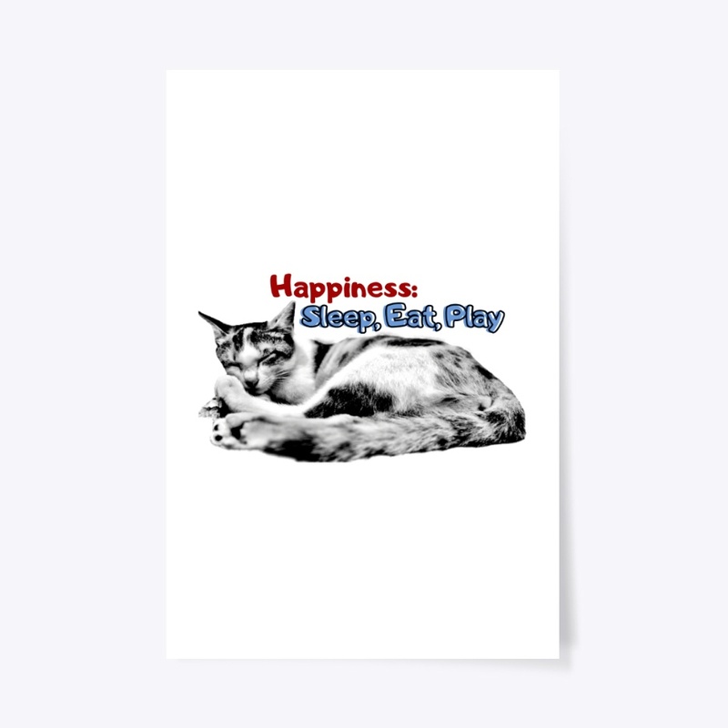 Meaning happiness 