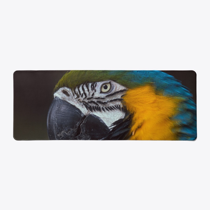 Birds of a feather 3