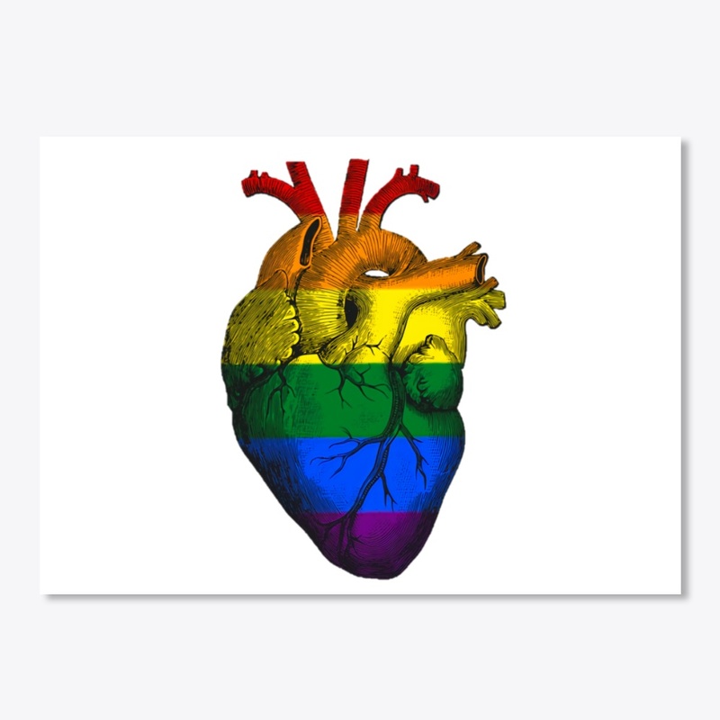 Gay Pride Anatomical Heart