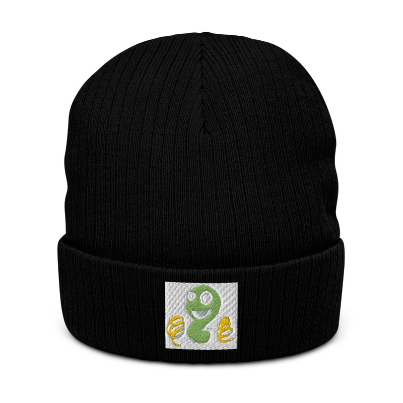 Div Jen Ribbed Knit Beanie | Atlantis