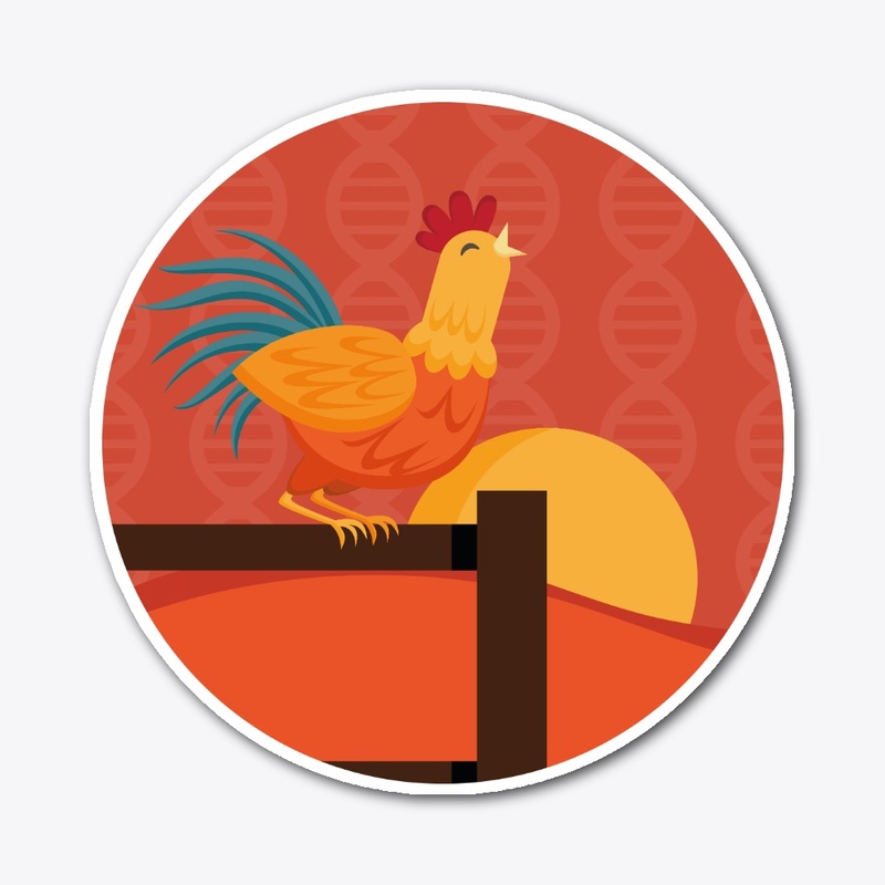 Primer canto del gallo