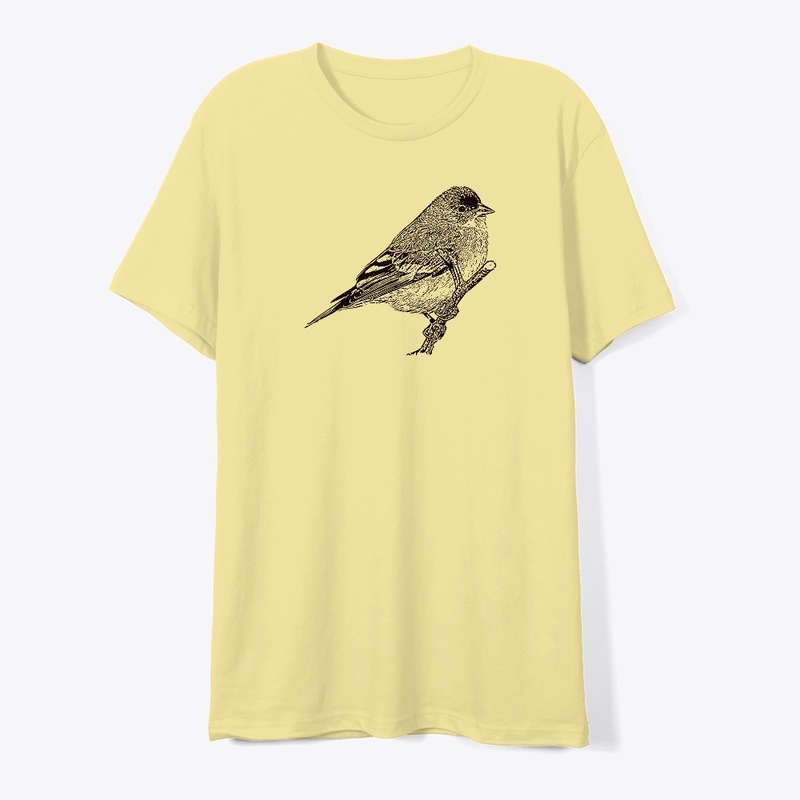 Birdwatching Lesser Goldfinch