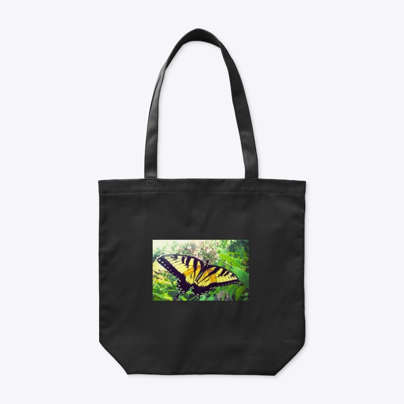 Creative Butterfly