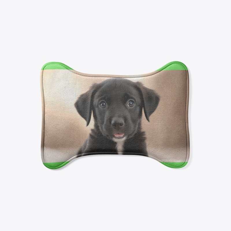 Cute Puppy