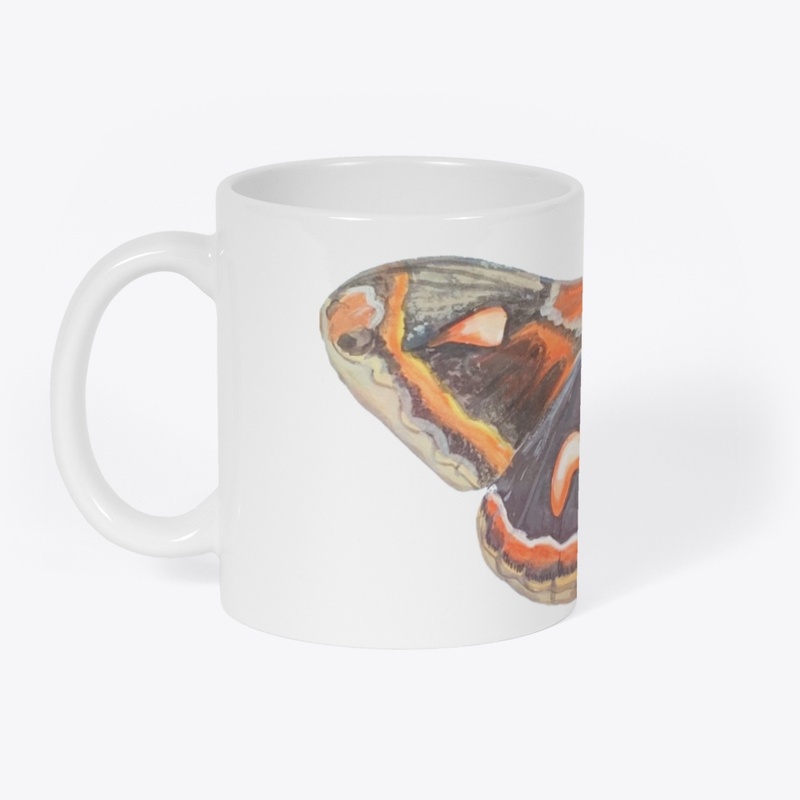 Cecropia Moth Large