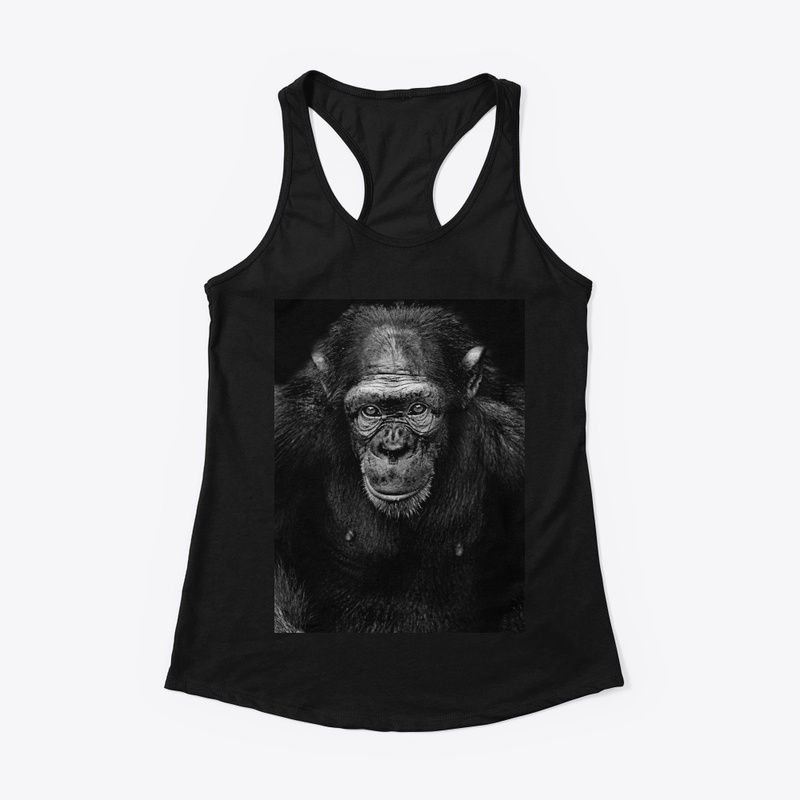 Evolution Collectibles